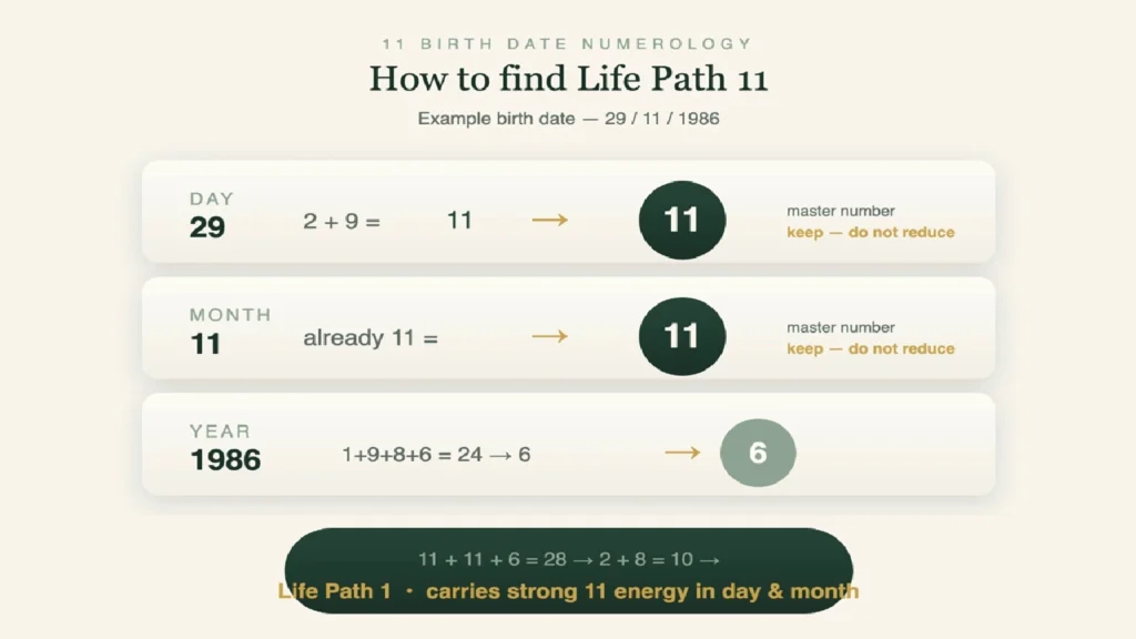 Numerology Number 11: The Intuitive Master Life Path 1 How to calculate life path number 11 from your birth date