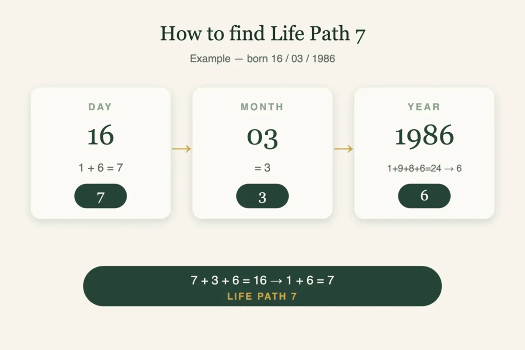 Numerology Number 7: The Seeker'S Life Path 1 How to calculate life path number 7 from your birth date