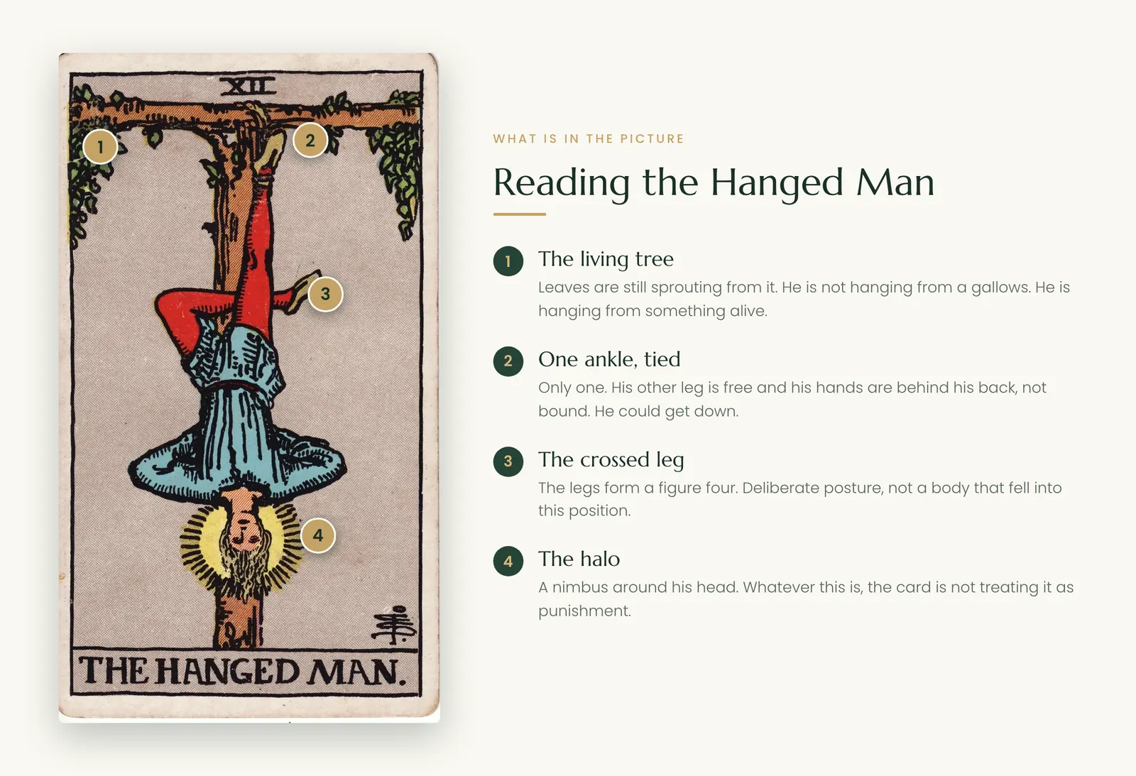 The Hanged Man tarot symbolism: the living tree, the single tied ankle, the crossed leg and the halo