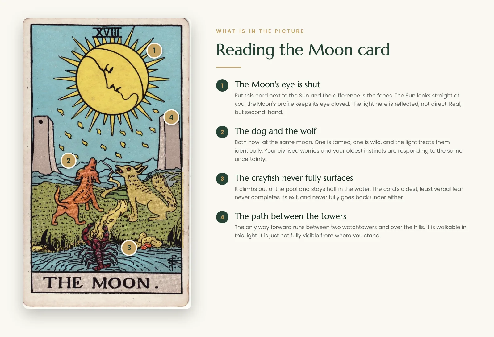 The Moon tarot card symbolism: the closed-eyed moon, the dog and wolf, the crayfish and the path between the towers
