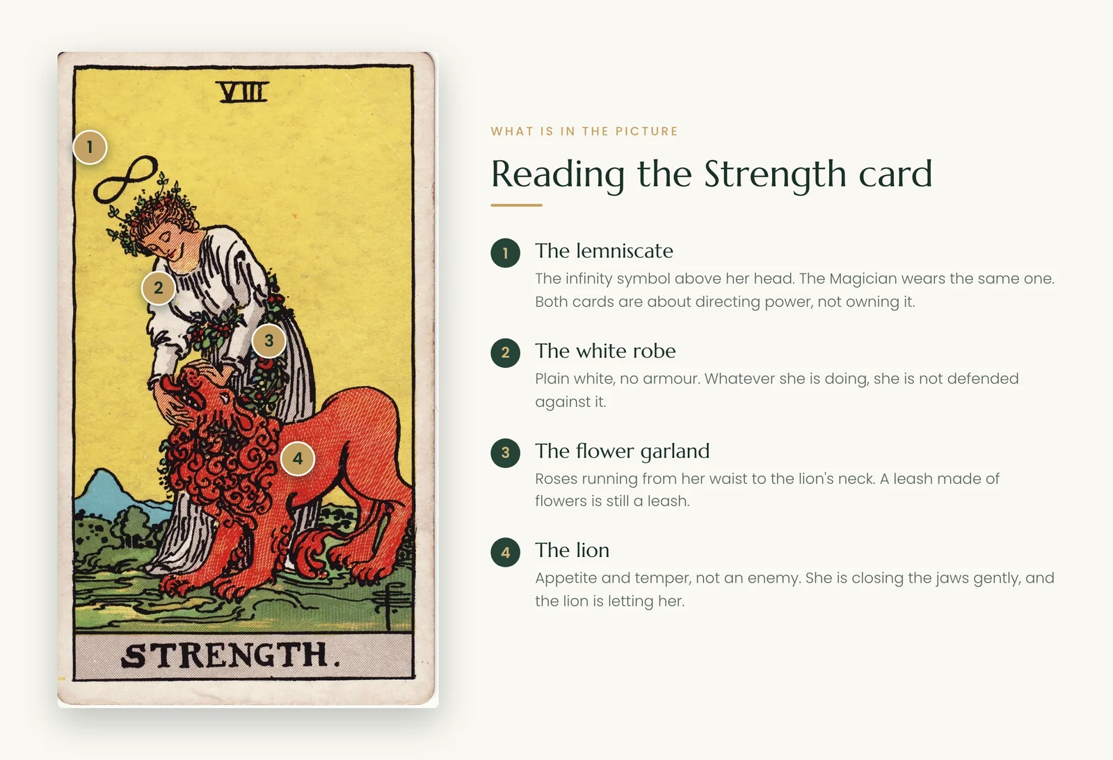 Strength tarot card symbolism: the lemniscate, white robe, flower garland and lion
