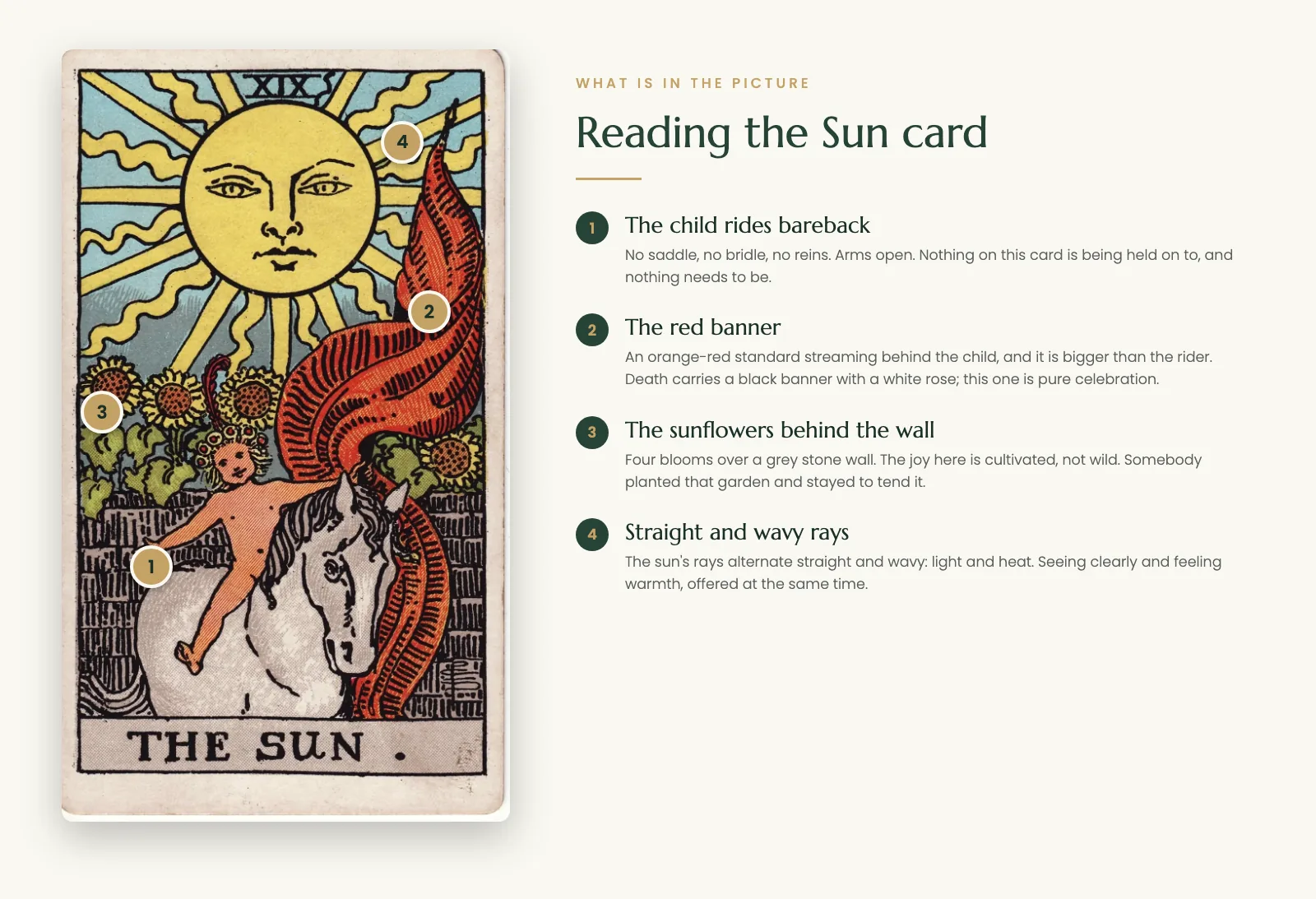 The Sun tarot card symbolism: the bareback child, the red banner, the sunflowers behind the wall and the alternating rays